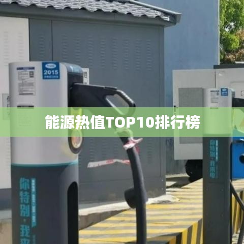 能源熱值TOP10排行榜