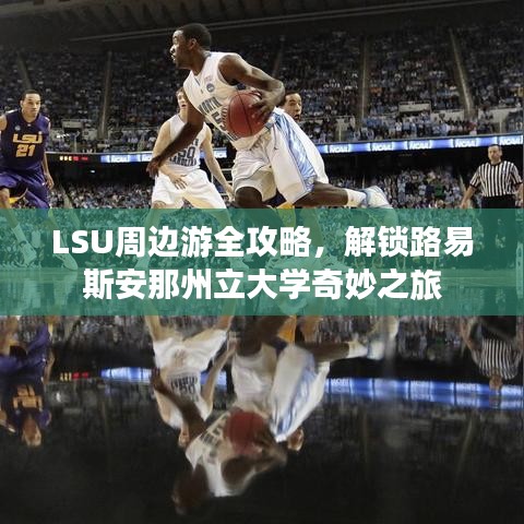 LSU周邊游全攻略，解鎖路易斯安那州立大學奇妙之旅