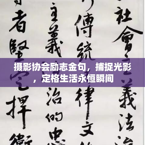 攝影協(xié)會勵(lì)志金句，捕捉光影，定格生活永恒瞬間