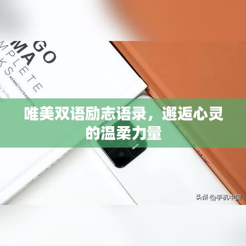 唯美雙語勵志語錄，邂逅心靈的溫柔力量