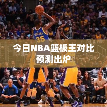 今日NBA籃板王對(duì)比預(yù)測(cè)出爐