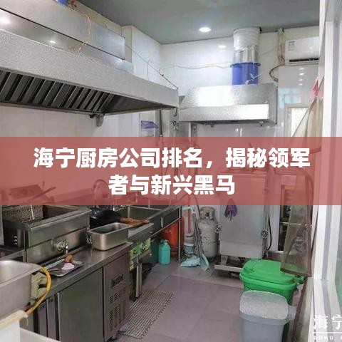海寧廚房公司排名，揭秘領(lǐng)軍者與新興黑馬