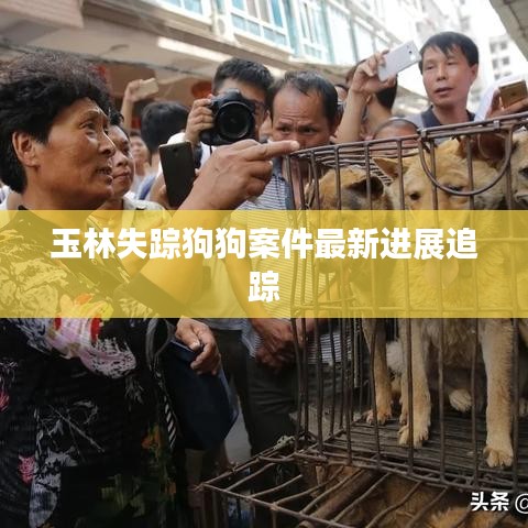 玉林失蹤狗狗案件最新進展追蹤