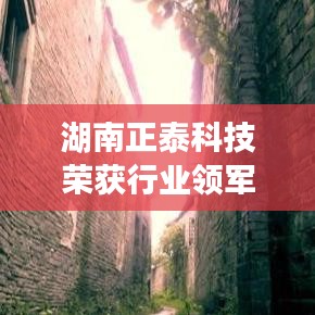 湖南正泰科技獲行業(yè)領(lǐng)軍企業(yè)榮譽(yù)