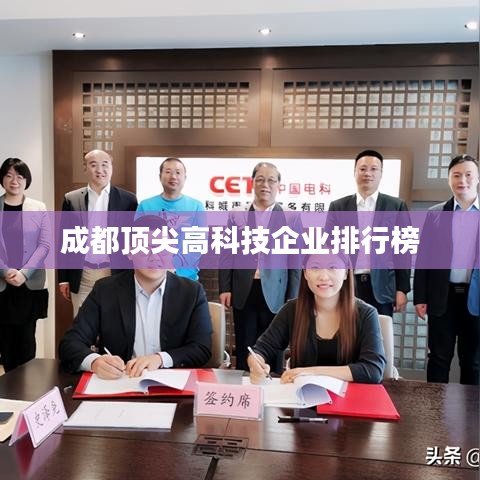 成都頂尖高科技企業(yè)排行榜