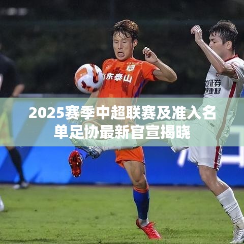 2025賽季中超聯(lián)賽及準(zhǔn)入名單足協(xié)最新官宣揭曉