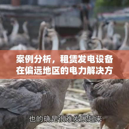 租賃發(fā)電設(shè)備助力偏遠(yuǎn)地區(qū)電力解決方案案例解析