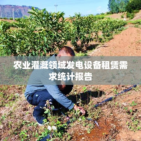 農(nóng)業(yè)灌溉發(fā)電設(shè)備租賃需求分析報告