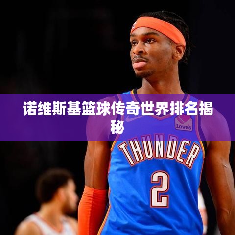 諾維斯基籃球傳奇世界排名揭秘