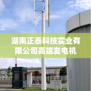 湖南正泰科技實(shí)業(yè)發(fā)電機(jī)技術(shù)創(chuàng)新成果展