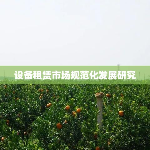 設(shè)備租賃市場(chǎng)