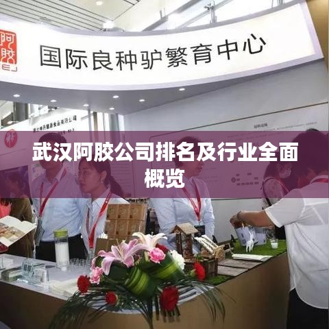 武漢阿膠公司排名及行業(yè)全面概覽