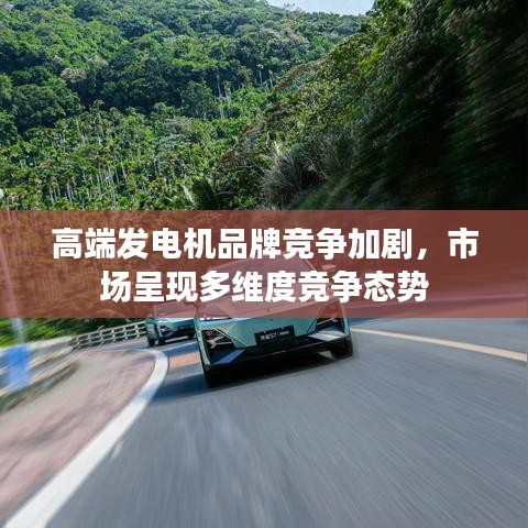 高端發(fā)電機(jī)市場多維度競爭態(tài)勢加劇，品牌競爭加劇