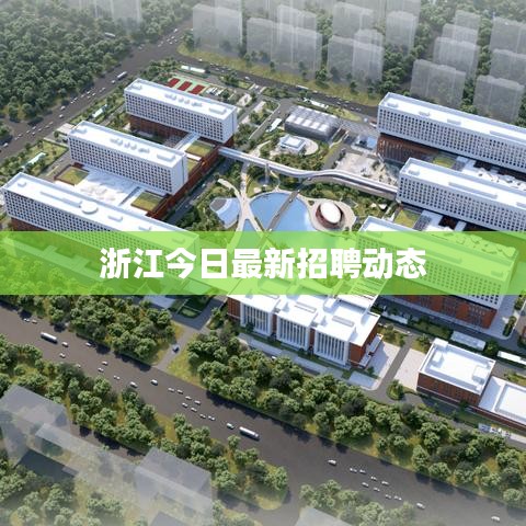 浙江今日最新招聘動(dòng)態(tài)