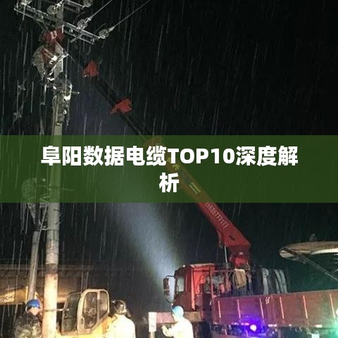 阜陽數(shù)據(jù)電纜TOP10深度解析