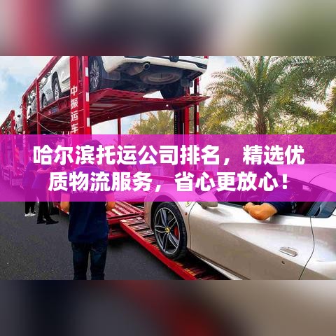 哈爾濱托運(yùn)公司排名，精選優(yōu)質(zhì)物流服務(wù)，省心更放心！