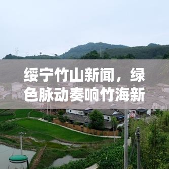 綏寧竹山新聞，綠色脈動奏響竹海新篇章