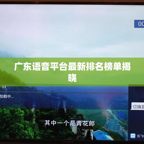 廣東語音平臺最新排名榜單揭曉
