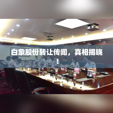 白象股份轉(zhuǎn)讓傳聞，真相揭曉！