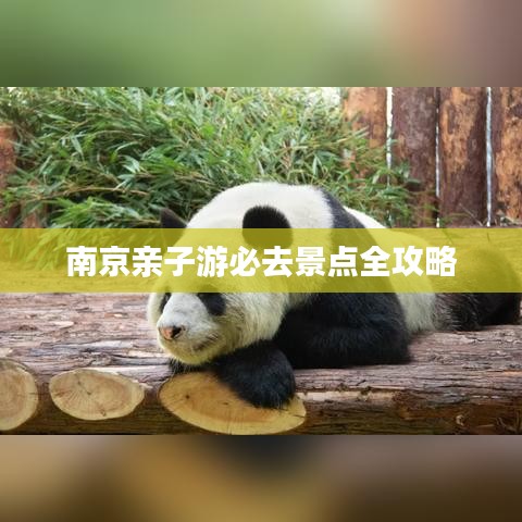 南京親子游必去景點全攻略
