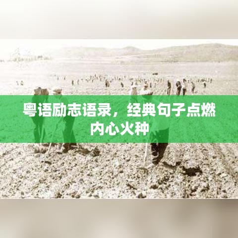 粵語(yǔ)勵(lì)志語(yǔ)錄，經(jīng)典句子點(diǎn)燃內(nèi)心火種