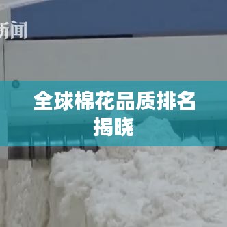 全球棉花品質(zhì)排名揭曉