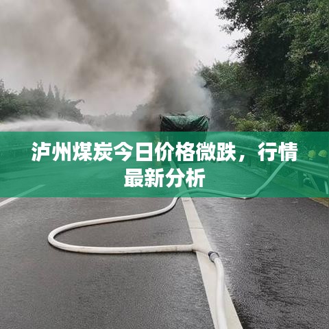 瀘州煤炭今日價格微跌，行情最新分析