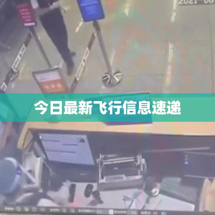 今日最新飛行信息速遞