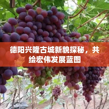 德陽(yáng)興隆古城新貌探秘，共繪宏偉發(fā)展藍(lán)圖