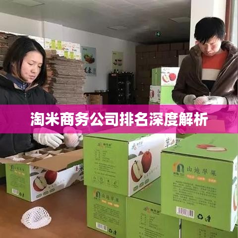 淘米商務公司排名深度解析