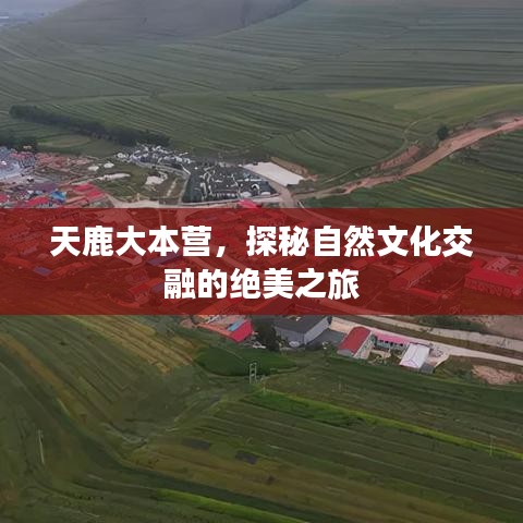 天鹿大本營，探秘自然文化交融的絕美之旅