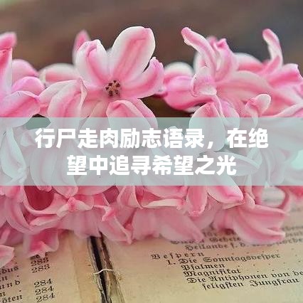 行尸走肉勵(lì)志語(yǔ)錄，在絕望中追尋希望之光