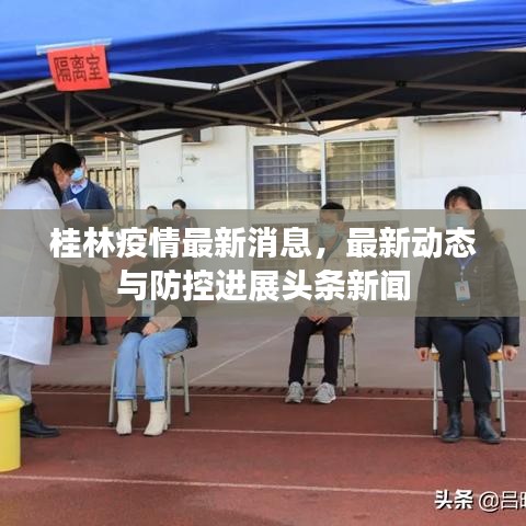 桂林疫情最新消息，最新動態(tài)與防控進(jìn)展頭條新聞