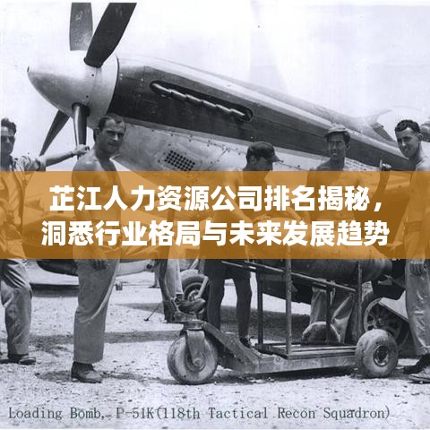 芷江人力資源公司排名揭秘，洞悉行業(yè)格局與未來發(fā)展趨勢