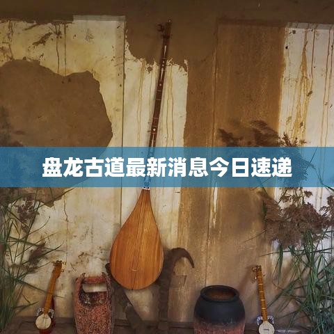 盤龍古道最新消息今日速遞