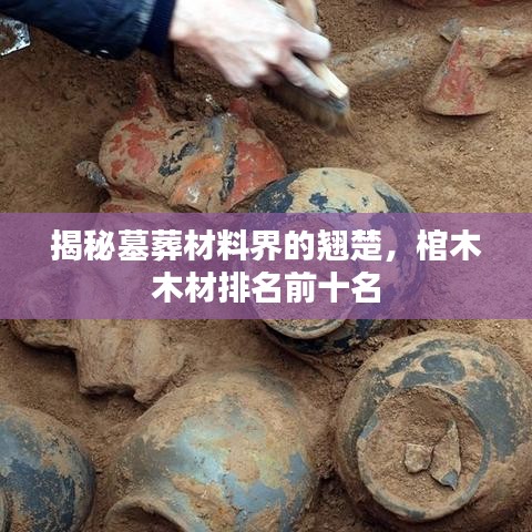 揭秘墓葬材料界的翹楚，棺木木材排名前十名