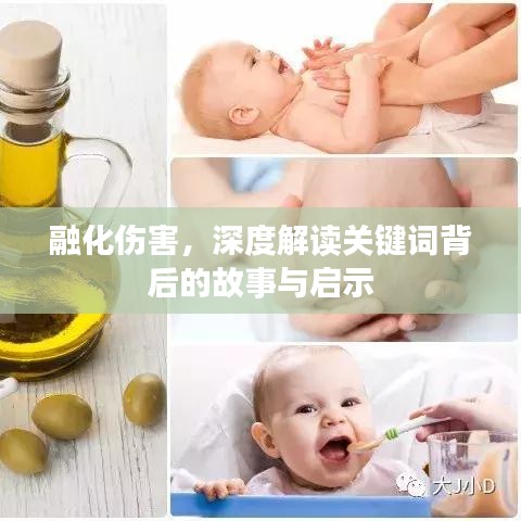 融化傷害，深度解讀關(guān)鍵詞背后的故事與啟示