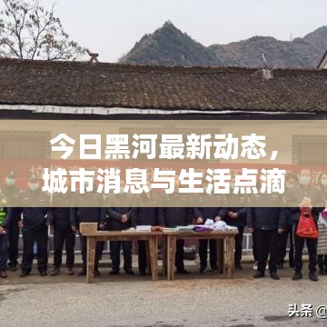 今日黑河最新動(dòng)態(tài)，城市消息與生活點(diǎn)滴更新