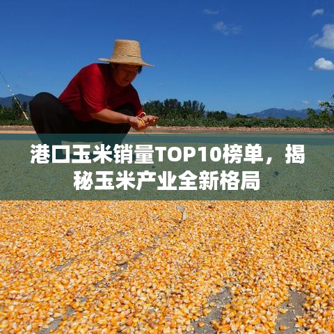 港口玉米銷量TOP10榜單，揭秘玉米產(chǎn)業(yè)全新格局