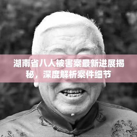 湖南省八人被害案最新進(jìn)展揭秘，深度解析案件細(xì)節(jié)