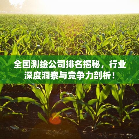 全國(guó)測(cè)繪公司排名揭秘，行業(yè)深度洞察與競(jìng)爭(zhēng)力剖析！