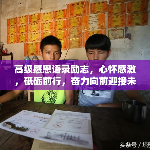 高級(jí)感恩語(yǔ)錄勵(lì)志，心懷感激，砥礪前行，奮力向前迎接未來(lái)挑戰(zhàn)