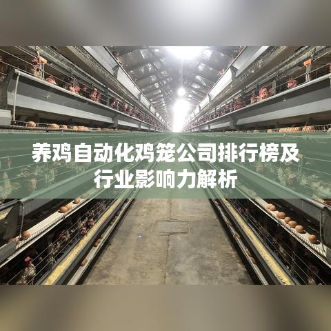 養(yǎng)雞自動化雞籠公司排行榜及行業(yè)影響力解析