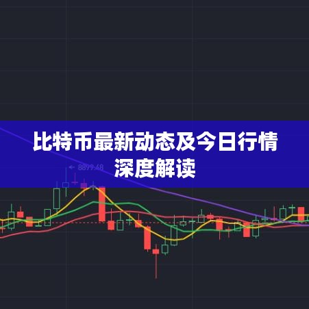 比特幣最新動態(tài)及今日行情深度解讀