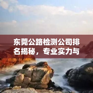東莞公路檢測公司排名揭秘，專業(yè)實力與服務質量的完美融合