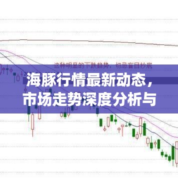 海豚行情最新動(dòng)態(tài)，市場(chǎng)走勢(shì)深度分析與預(yù)測(cè)
