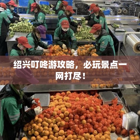 紹興叮咚游攻略，必玩景點(diǎn)一網(wǎng)打盡！