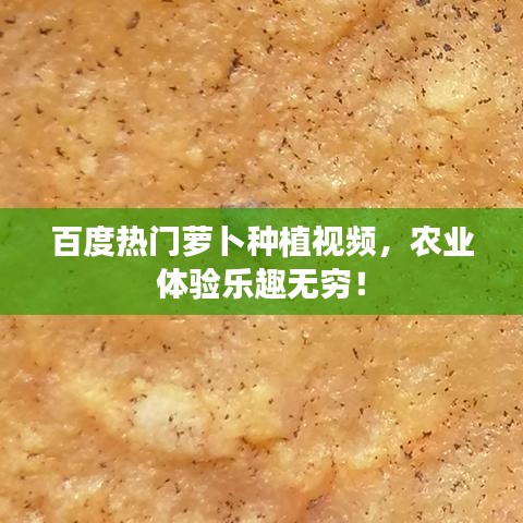就事論事 第6頁