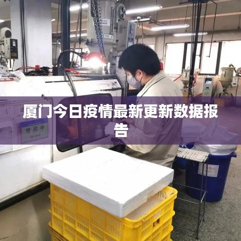 廈門今日疫情最新更新數(shù)據(jù)報(bào)告