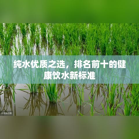 灰飛湮滅 第5頁(yè)